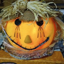 Fiber optic scarecrow for sale  Welch