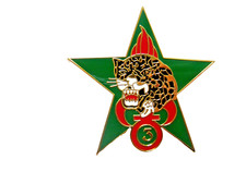 Insigne legion etrangere usato  Spedire a Italy
