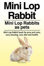 Mini lop rabbit. for sale  Aurora