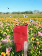 Giorgio armani red for sale  LEICESTER
