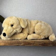 Classic golden retriever for sale  ROYSTON