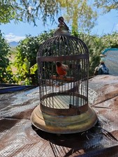 Ancienne cage oiseau d'occasion  Hyères