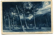 A98 viareggio pineta usato A98 viareggio pineta usato  Fontanellato