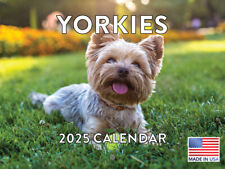 Yorkie calendar 2025 for sale  Austin