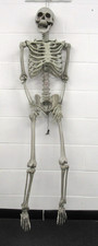 life prop for sale life prop for sale COLCHESTER