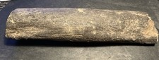 Versteinertes holz 860g gebraucht kaufen  Troisdorf