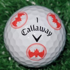 bacardi bat for sale bacardi bat for sale Pompano Beach