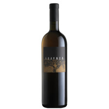 Ribolla anfora gravner usato  Mondovi