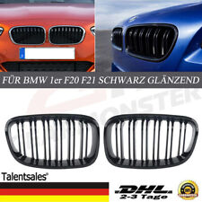 Kühlergrill nieren doppelsteg gebraucht kaufen  Langenlonsheim