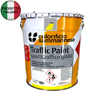 Vernice pittura spartitraffico usato  Villanova di Camposampiero