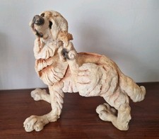 Breed apart retriever for sale  SOUTHAMPTON