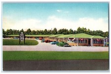 Cartão postal móvel Alabama AL jardins de inverno motor hotel nova rodovia c1960 vintage comprar usado  Enviando para Brazil