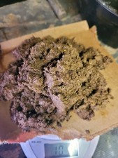 Pure ground beaver for sale  Maysville