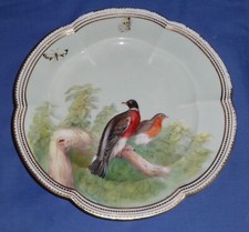 Antique coalport plate for sale  BURNHAM-ON-SEA