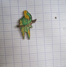 Pin perruches d'occasion  Expédié en Belgium