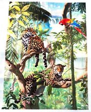 Leopards parrots trees for sale  EASTBOURNE