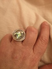 Large abalone paua for sale  SOUTHPORT