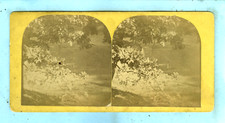 stereoview for sale stereoview for sale Louisville