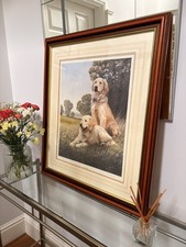 Nigel hemming golden for sale  CHESTERFIELD