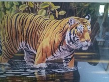 Wading tiger stephen for sale  LEOMINSTER
