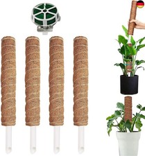 Stück moosstab 30cm gebraucht kaufen  Berlin
