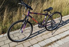 Raleigh firestorm vintage gebraucht kaufen  Pfaffenhofen a.d.Ilm
