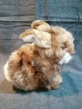 Steiff hase wuschel gebraucht kaufen  Hörstel