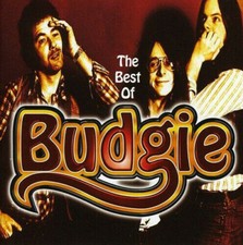 Best budgie good for sale  CHESTERFIELD
