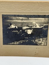 Antique dog baby for sale  Minneapolis