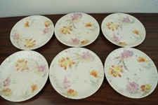 Porzellan kuchen teller gebraucht kaufen  Aschau