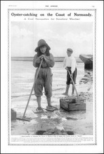 1910 normandy oyster for sale  ASHFORD