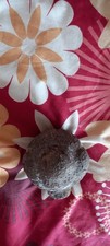Bird garden ornament for sale  PAIGNTON