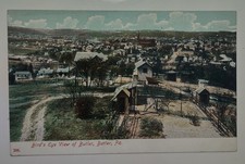 1910s bird eye for sale  Burghill