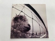 PEARL JAM VS 1st US PRESS 1993 VINYL 9.0 SLEEVE 6.0 comprar usado  Enviando para Brazil