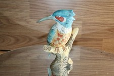 Antique common kingfisher d'occasion  Expédié en Belgium