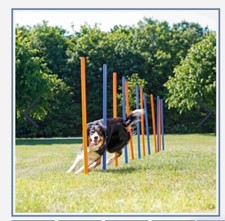 Trixie fun agility gebraucht kaufen  Kandel