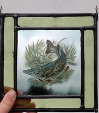 Pike fish stained for sale Pike fish stained for sale  BATTLE