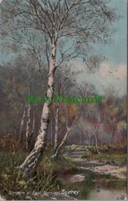 Surrey postcard stream for sale  WATERLOOVILLE