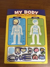 Body magnetic activity for sale  Auburndale