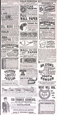 1891 youth companion for sale  Bedford