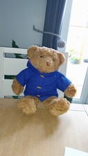 Vintage bear factory for sale  WORKSOP