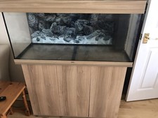 Fluval rio 180l for sale  HARPENDEN