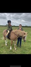 Matching lead rein for sale  RUTHIN