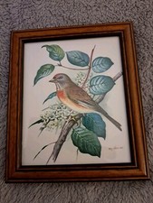Bird lithograph p for sale  BEVERLEY