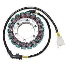 Electrosport statore alternato usato  Vobbia