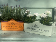 Pretty garden trug for sale  CHRISTCHURCH