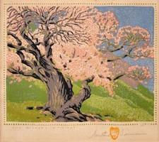 Bishop apricot gustave for sale  Ventura