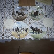 Working horses seasons for sale  SOUTHAMPTON