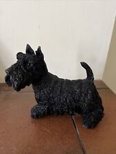 black west highland terrier for sale  IPSWICH