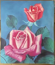 Rose serigrafia autore usato  Pescara